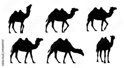 Camel Silhouettes Collection: Desert Journey Icons