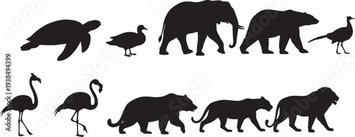 Silhouettes of various plants and office supplies on shelves, depicting a workspace with decorative elements