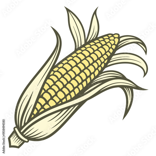 A detailed illustration of a single ear of corn with husk leaves Vector