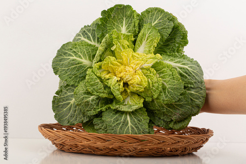 korean Seasoned Cabbage bomdong. Spring Cabbage Bibimbap.