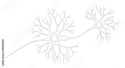 Neurons with Dendrites and Axon Illustration.