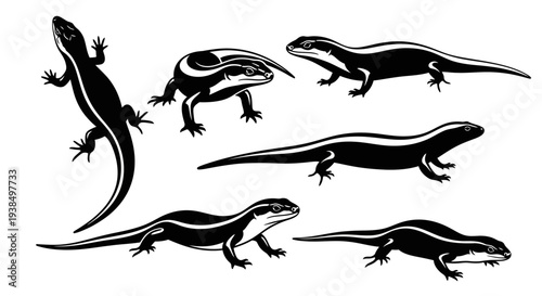 Collection of Black and White Skink Lizard Silhouettes on White Background