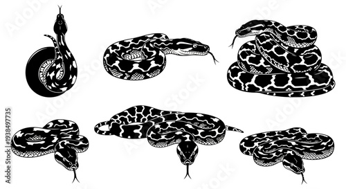 Collection of Black and White Snake Illustrations in Various Poses