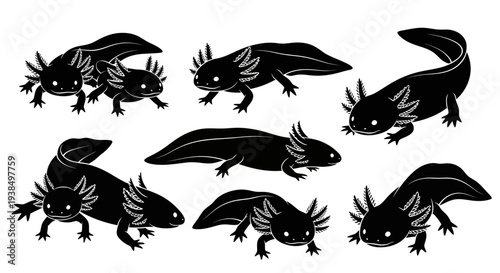 Collection of Black Axolotl Illustrations, Cute Amphibian Silhouettes on White Background