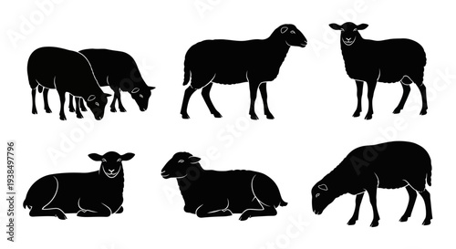 Collection of Black Sheep Silhouettes in Various Poses