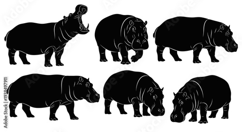 Collection of Hippo Silhouettes: Diverse Poses of African River Horses