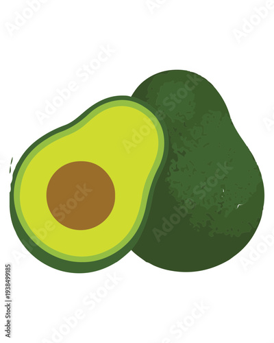 Fresh Avocados Illustration
