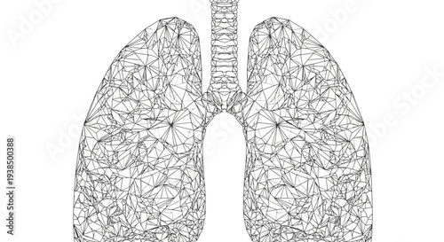 Human Lungs Anatomy Detailed Illustration.