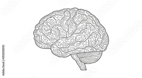 Human Brain Anatomical Sketch Side View.