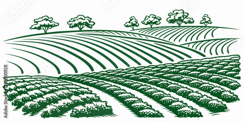 Aerial view of a vast agricultural field with rows of crops and a winding road. Vector