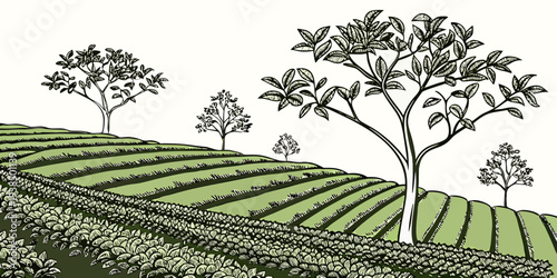 A serene landscape with rolling hills and scattered trees under a clear sky. Vector