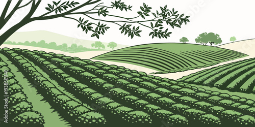 Aerial view of lush green fields with a winding road and trees in the background Vector