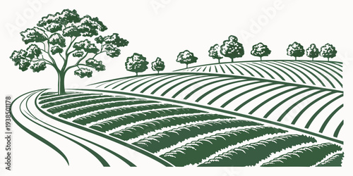 A serene landscape of rolling hills covered in lush green trees and grass. Vector