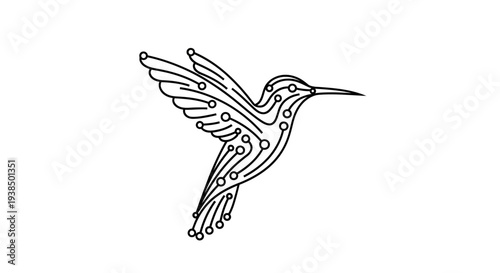 Hummingbird in Flight Line Art Illustration.