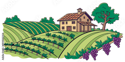 Vineyard landscape with a charming house nestled among grapevines and rolling hills Vector