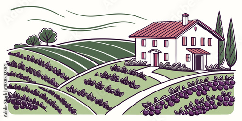 A picturesque countryside scene with a farmhouse and rolling vineyards under a clear sky Vector