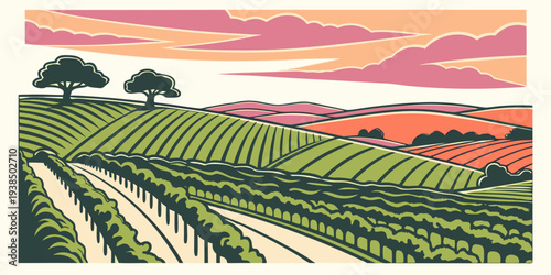 A serene landscape of rolling hills and vineyards under a vibrant sunset sky Vector