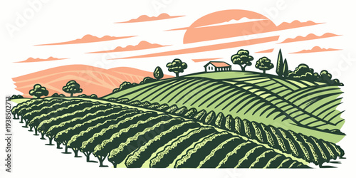 A picturesque landscape of rolling hills and vineyards under a vibrant sunset sky Vector