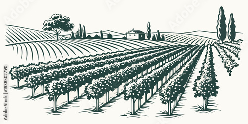 A detailed illustration of a farm with various crops and farm equipment. Vector