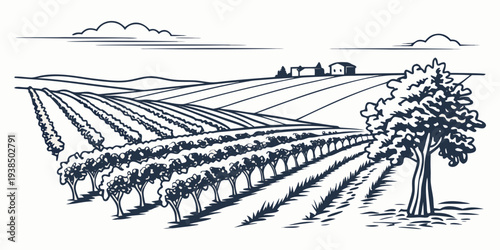 Aerial view of a vast solar farm with mountains in the background during sunset. Vector