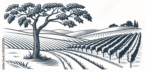 A serene landscape featuring a solitary tree and rolling hills under a clear sky Vector