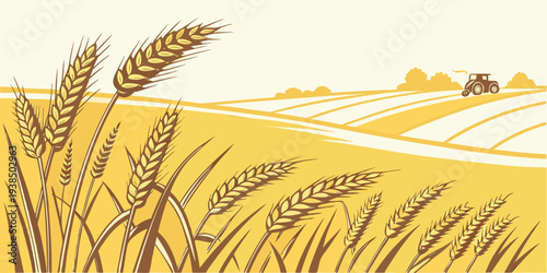 Golden wheat fields swaying gently under a clear blue sky with a distant horizon Vector