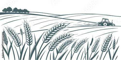 A serene landscape of tall grasses swaying in the gentle breeze under a clear blue sky. Vector