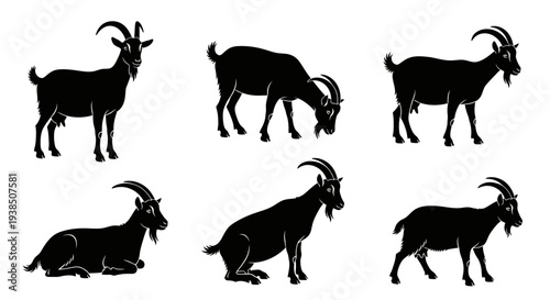Goat Silhouettes Collection: Standing, Grazing, Lying Down - Farm Animal Icons