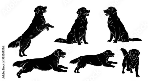 Golden Retriever Dog Silhouettes in Various Poses: Playful, Active, and Relaxed