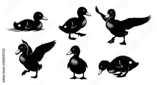 Cute Ducklings Silhouettes: Various Poses and Actions - Black and White Illustration