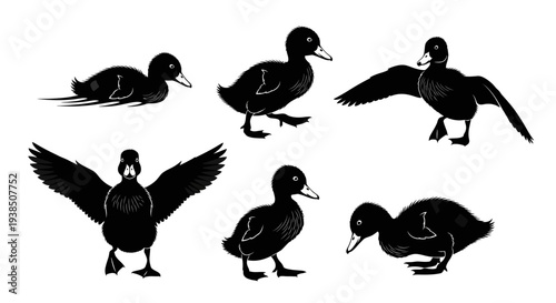 Cute Ducklings Silhouettes: Six Poses of Baby Ducks in Black and White