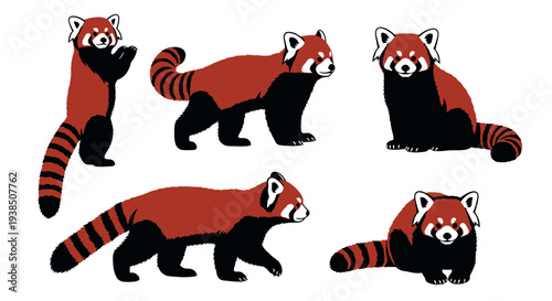 Cute Red Panda Collection: Five Adorable Poses of Red Pandas in Various Activities