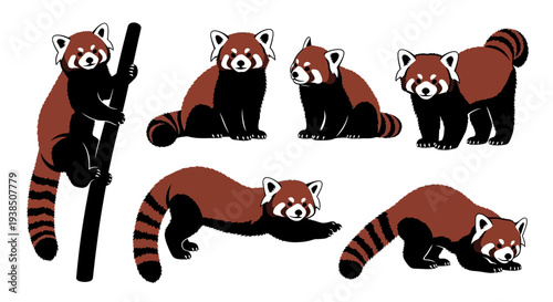 Cute Red Panda Collection: Adorable Animals in Various Poses