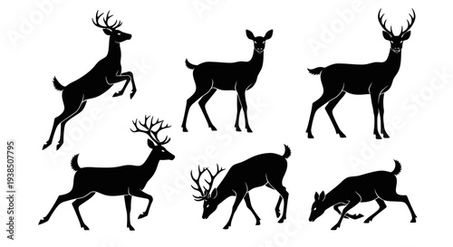 Deer Silhouettes Collection: Various Poses of Wild Animals in Black and White