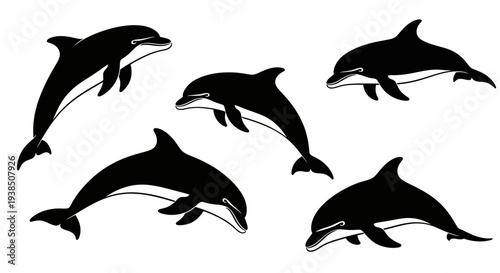 Five playful dolphins swimming in the ocean, black and white illustration