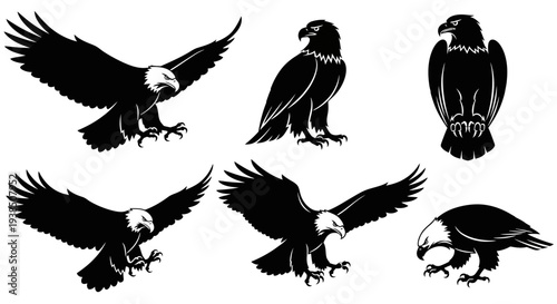 Eagle Silhouettes Collection: Majestic Birds in Flight and Perched Poses