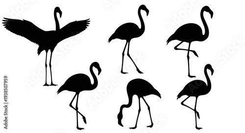 Flamingo Silhouettes Collection: Diverse Poses of Elegant Birds in Flight and Standing