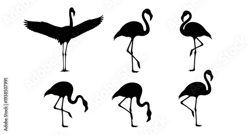 Flamingo Silhouettes Collection: Various Poses, Elegant Bird Vector Graphics