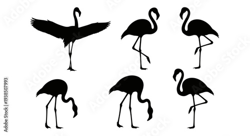 Flamingo Silhouettes Collection: Various Poses, Black on White Background