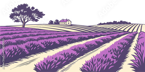 A vast field of lavender stretches out under a clear blue sky with a single tree in the distance. Vector