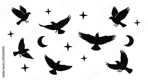 Set of 6 black flying bird and raven silhouettes with stars and moons vector