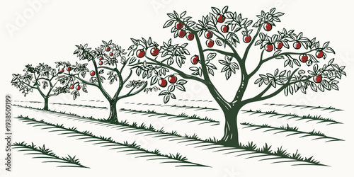 A serene landscape with three trees standing tall on a grassy hillside Vector