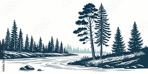 A serene winter landscape with tall pine trees standing in a snowy forest Vector