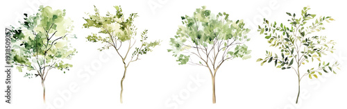 PNG Watercolor trees nature illustration, transparent background