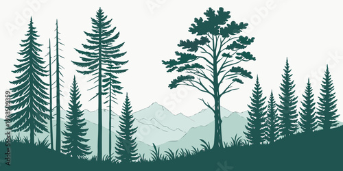A serene forest scene with tall trees and a misty atmosphere Vector