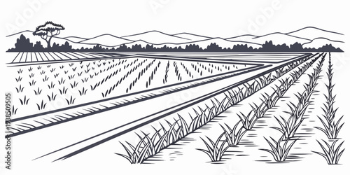 A detailed illustration of a traditional farm with various crops and farm buildings. Vector