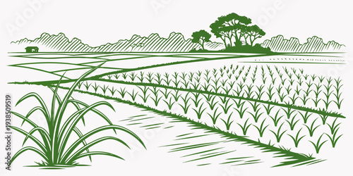 A serene landscape featuring a vast expanse of tall grass swaying gently in the breeze Vector