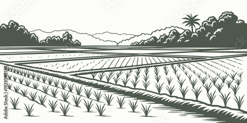 Aerial view of vast agricultural fields with mountains in the distance Vector