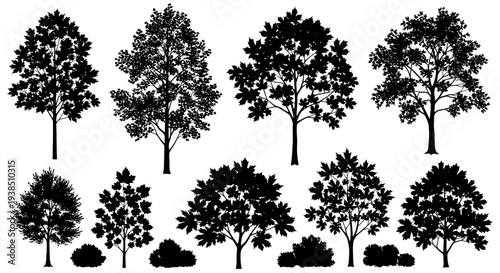 Collection of Black Silhouettes of Various Trees and Bushes Isolated on White Background