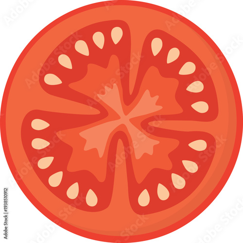 Slice of red tomato isolated on white background. Cut piece of fresh vegetable with seeds